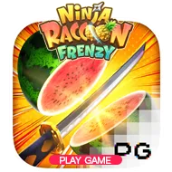 Ninja Raccoon Frenzy